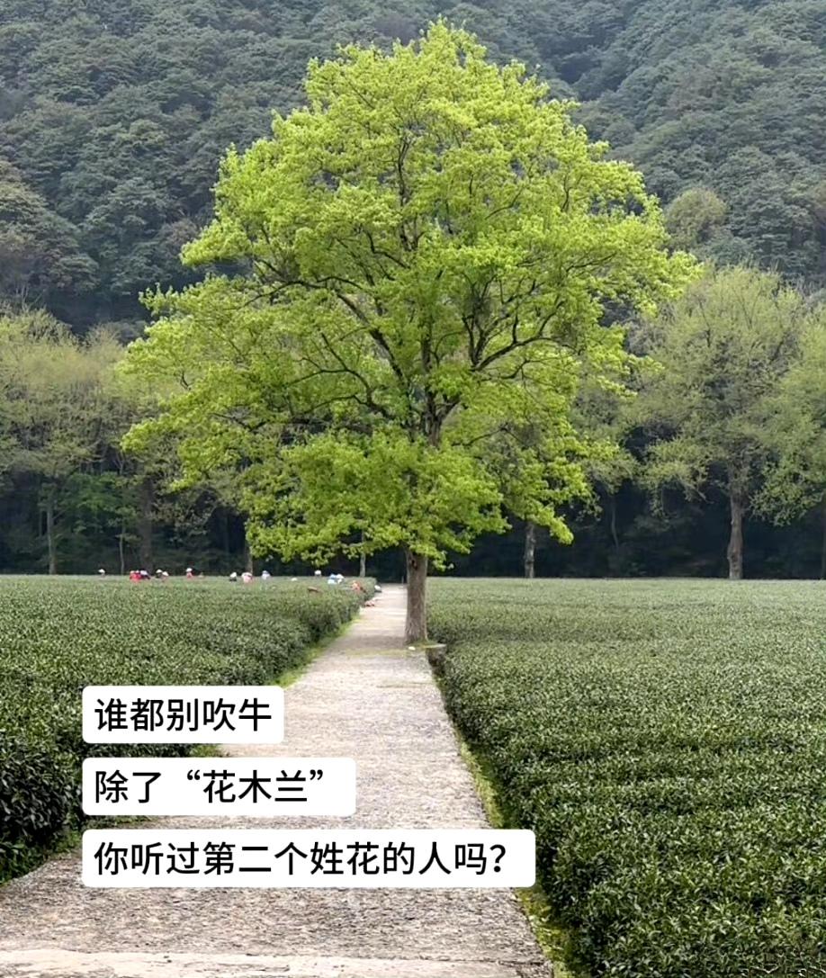 除了“花木兰”，你听过第二个姓花的人吗？