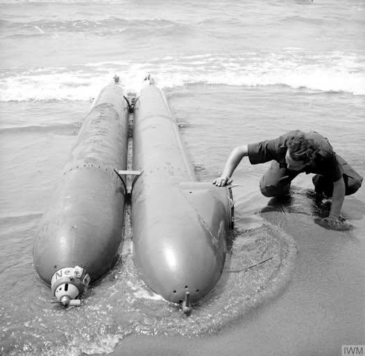 这张老照片里，搁浅在意大利安齐奥海滩的“双体怪东西”，是二战德军的Neger（黑