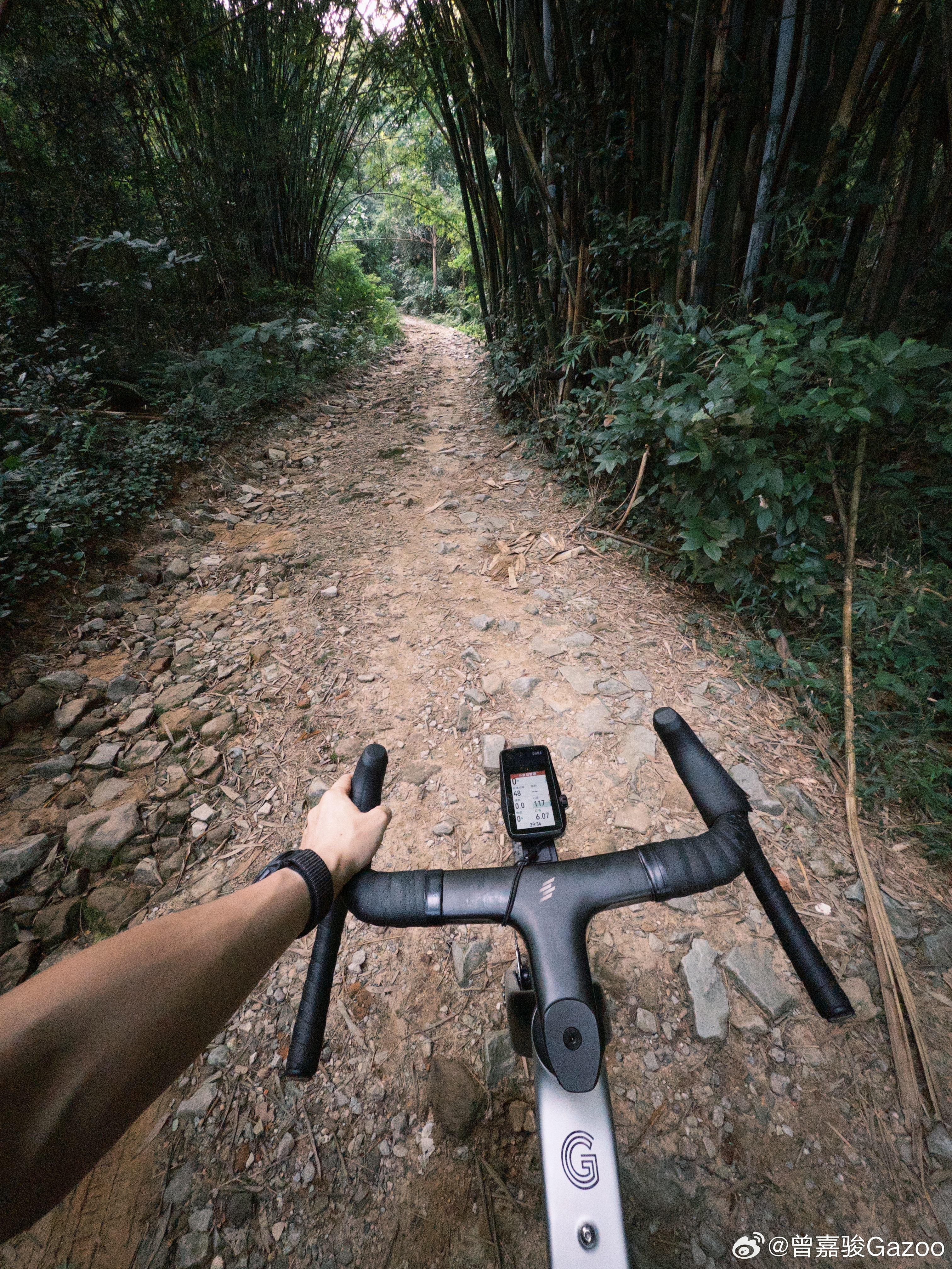 到了广州最适合户外活动的时候。​​​