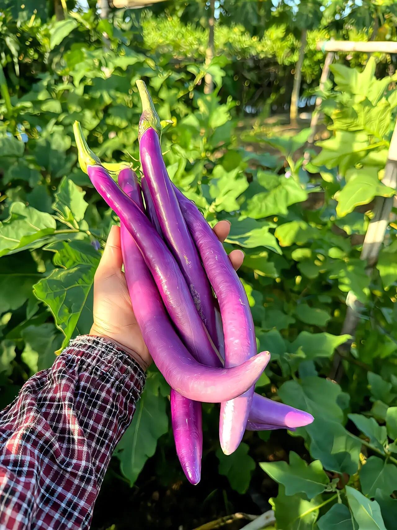 上联:勤勤恳恳种菜，求下联欢欢喜喜丰收