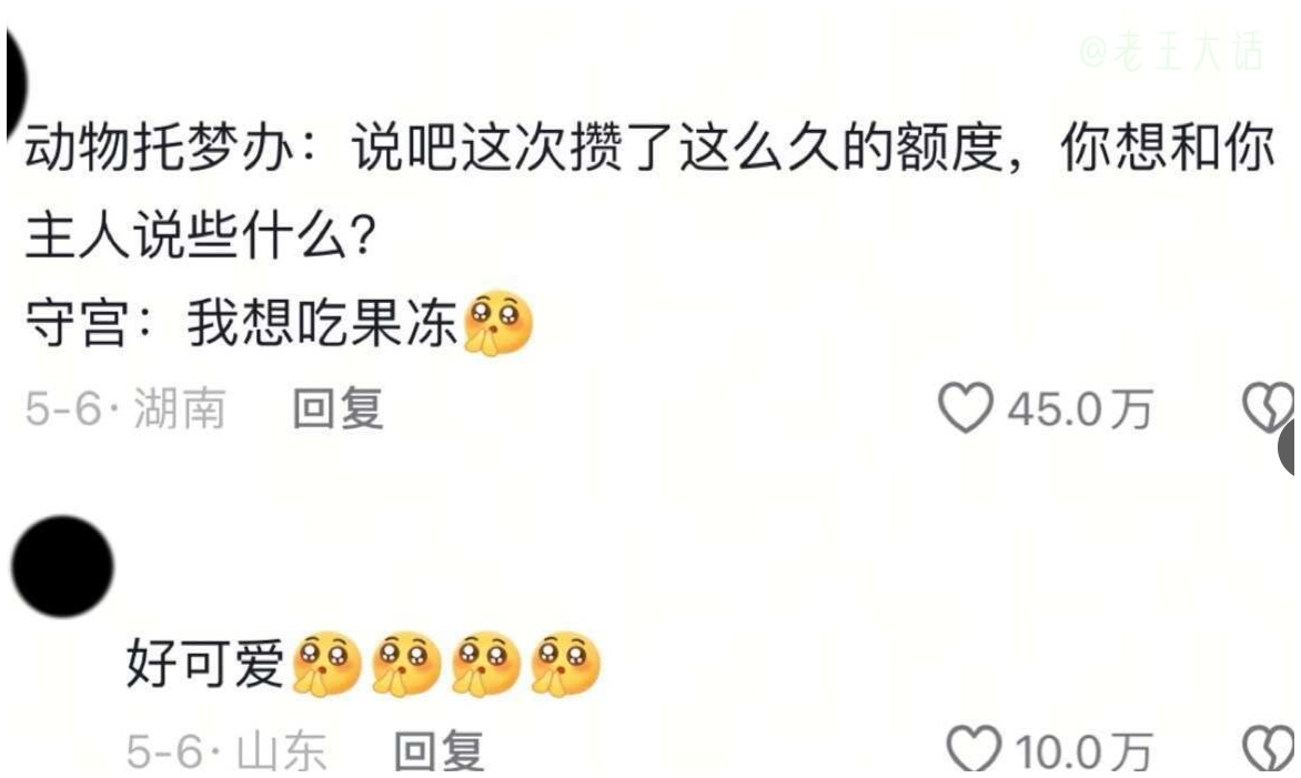 原来宠物真的会托梦…