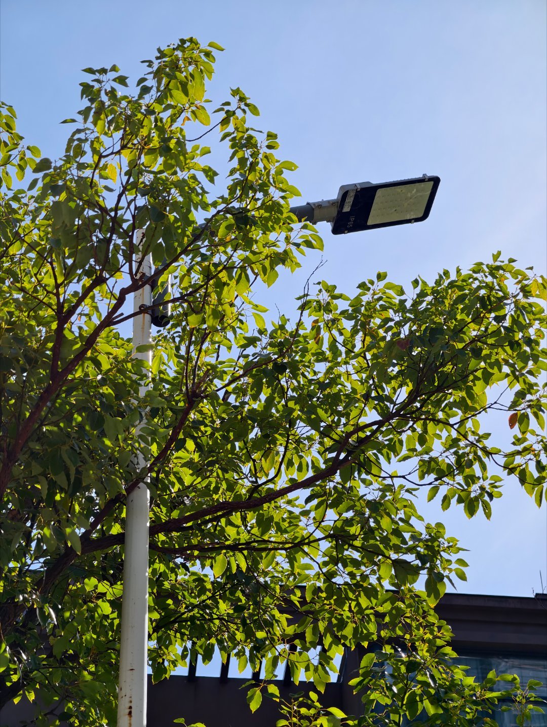 大家醒醒，该起床活动活动锻炼身体啦！！