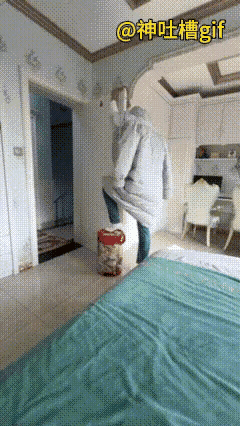 这金毛是真聪明啊，还懂得看破不点破。主人和他的金毛狗在捉迷藏，主人以为自己做得很