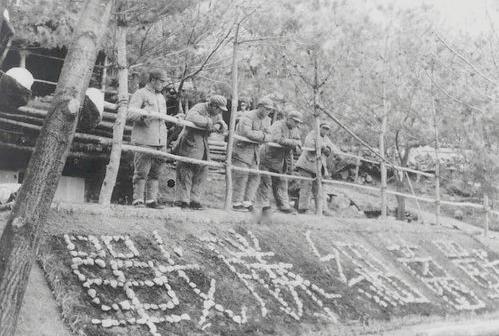 1952年3月3日，东北大雪冰封，银装素裹，在辽宁宽甸附近，一学生顶着风雪去上学