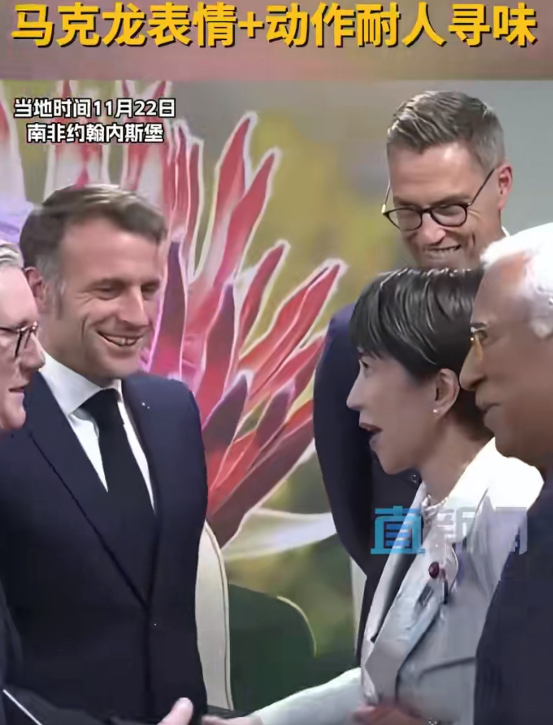 网友神评论：以为自己是花蝴蝶，其实只是个扑棱蛾子