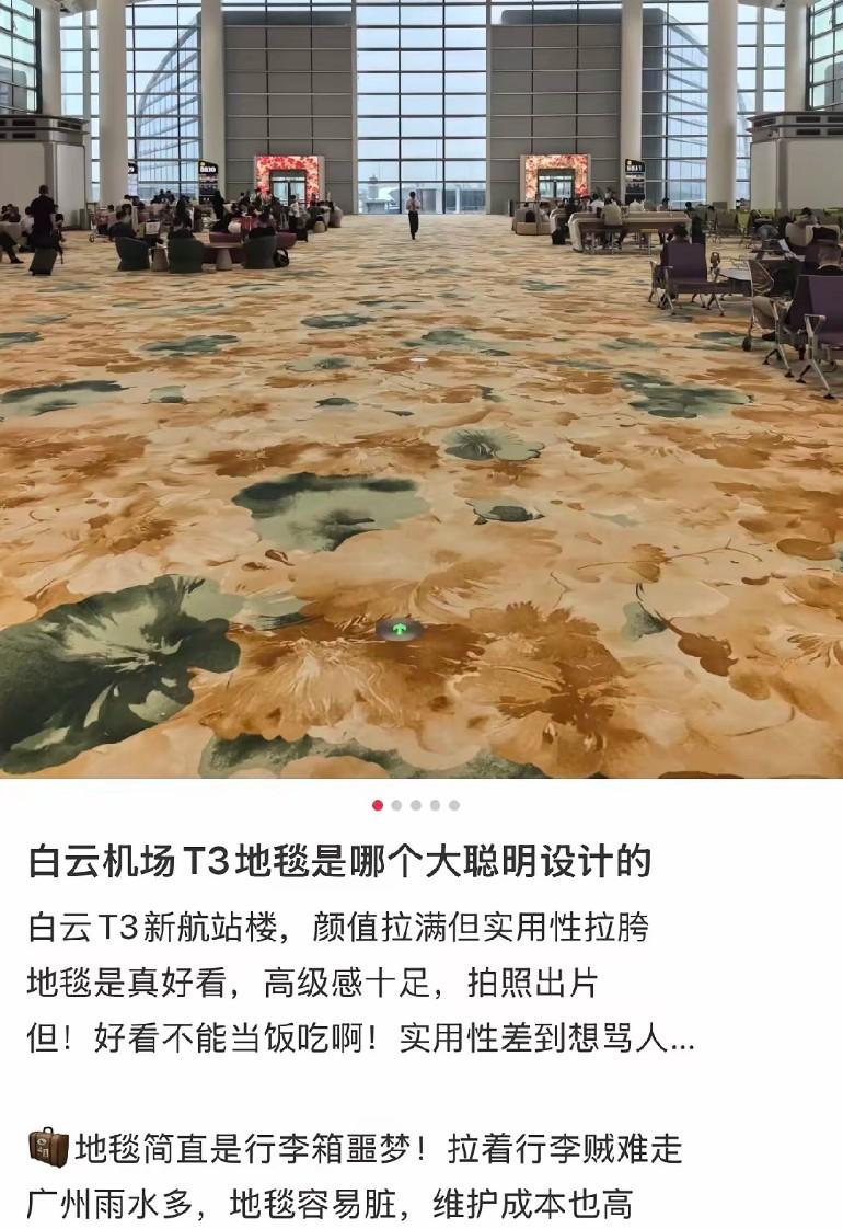 据说，花费数千万搞出来的！可是机场这种人流量场所，首先考虑的不应该是经济，应