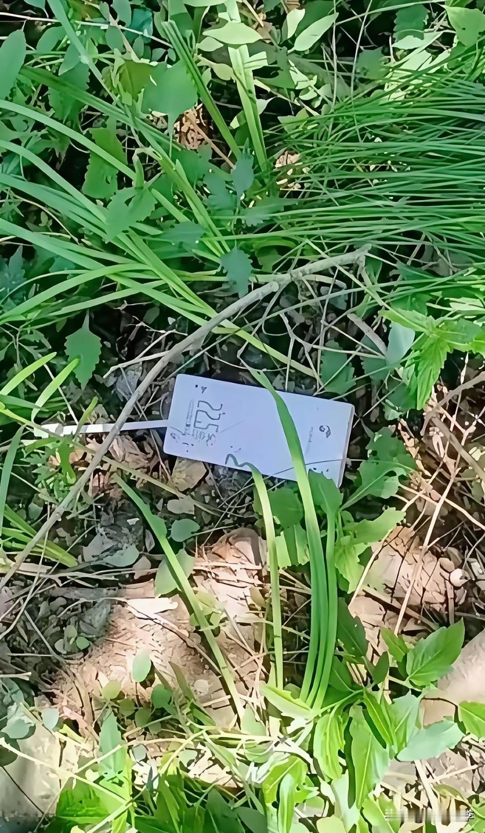 前两次完整走出南太行，让程梦圆觉得自己行，所以又来了第三次，这次她没能走出来。这