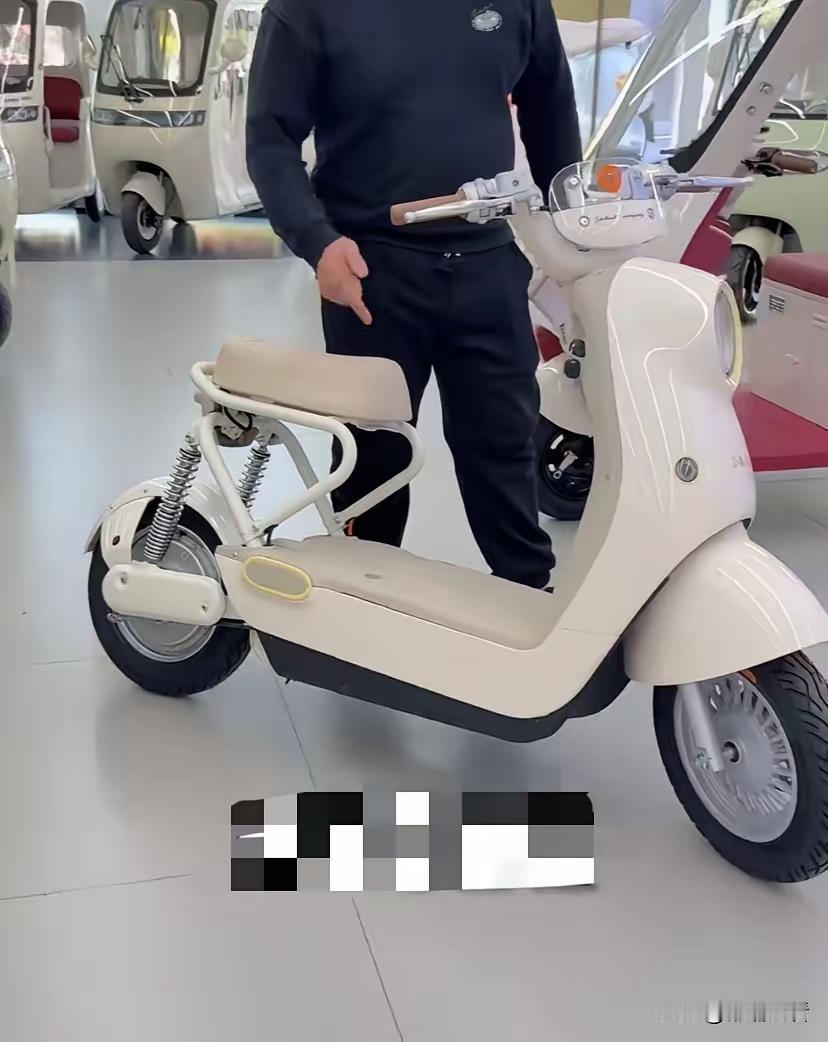 如果按照新国标，必须把电瓶车造成这样的话，那制定新国标的人可就真是脑袋让驴给踢了