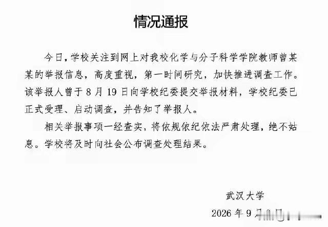 86页PDF撕开武大安大双查：高校“神仙爱情”背后的十年账本·一份86页PD
