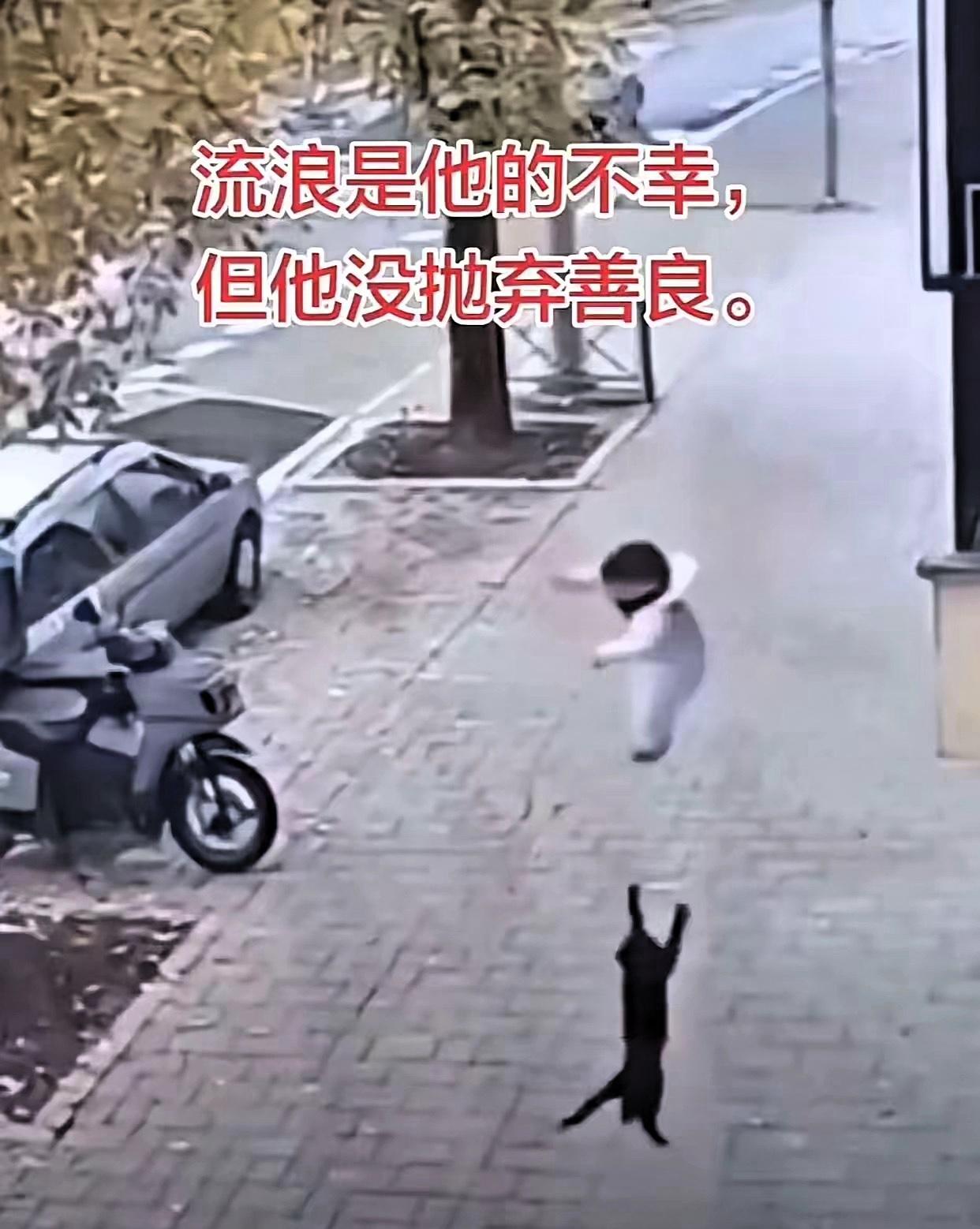 万万没想到！浙江杭州，一名三岁宝宝在阳台玩耍，结果大人一个疏忽，孩子突然从阳台掉