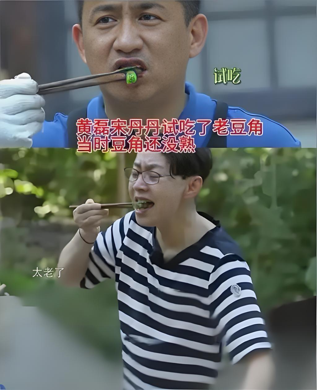 2025年10月3日《向往的生活》中，黄磊首度回应2017年与宋丹丹因未熟豆角中