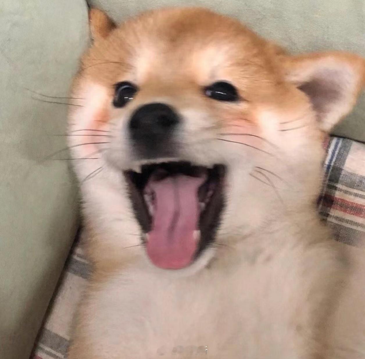 属相不是从立春开始算如果按命理学的话立春确实是新年的第一天，但后面官方统一更改成