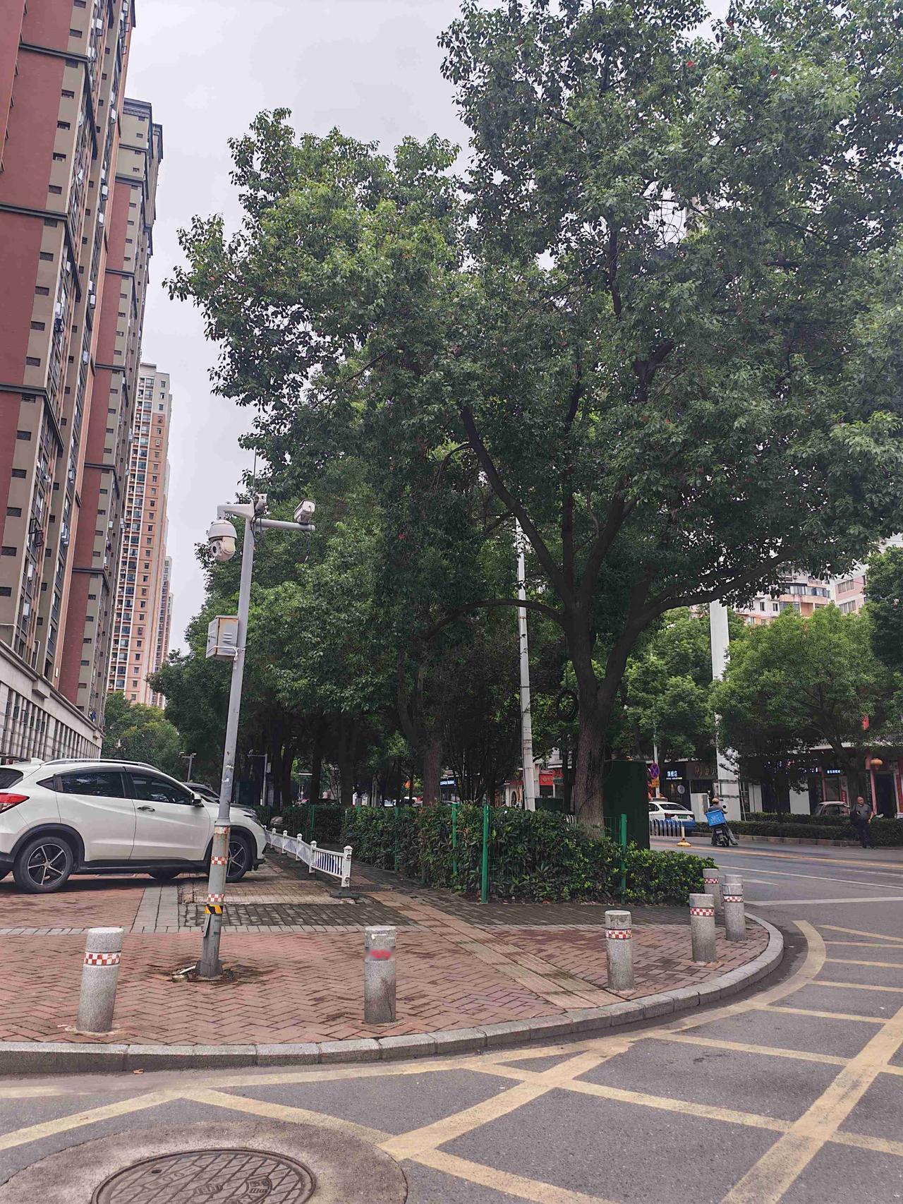 邻居家是一个租户，住着一对母子，儿子今年被裁了。他曾是母亲的骄傲，中科大研究生毕