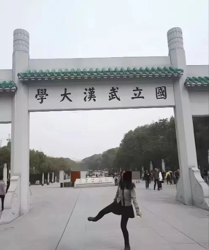 我觉得武汉大学之所以顶着巨大的舆论压力，没有明确的态度，未必是杨家有多大的背景，