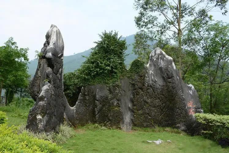 1992年，王晶在拍《鹿鼎记》的时候，突发奇想，对周星驰道：“我想到一个绝佳的点