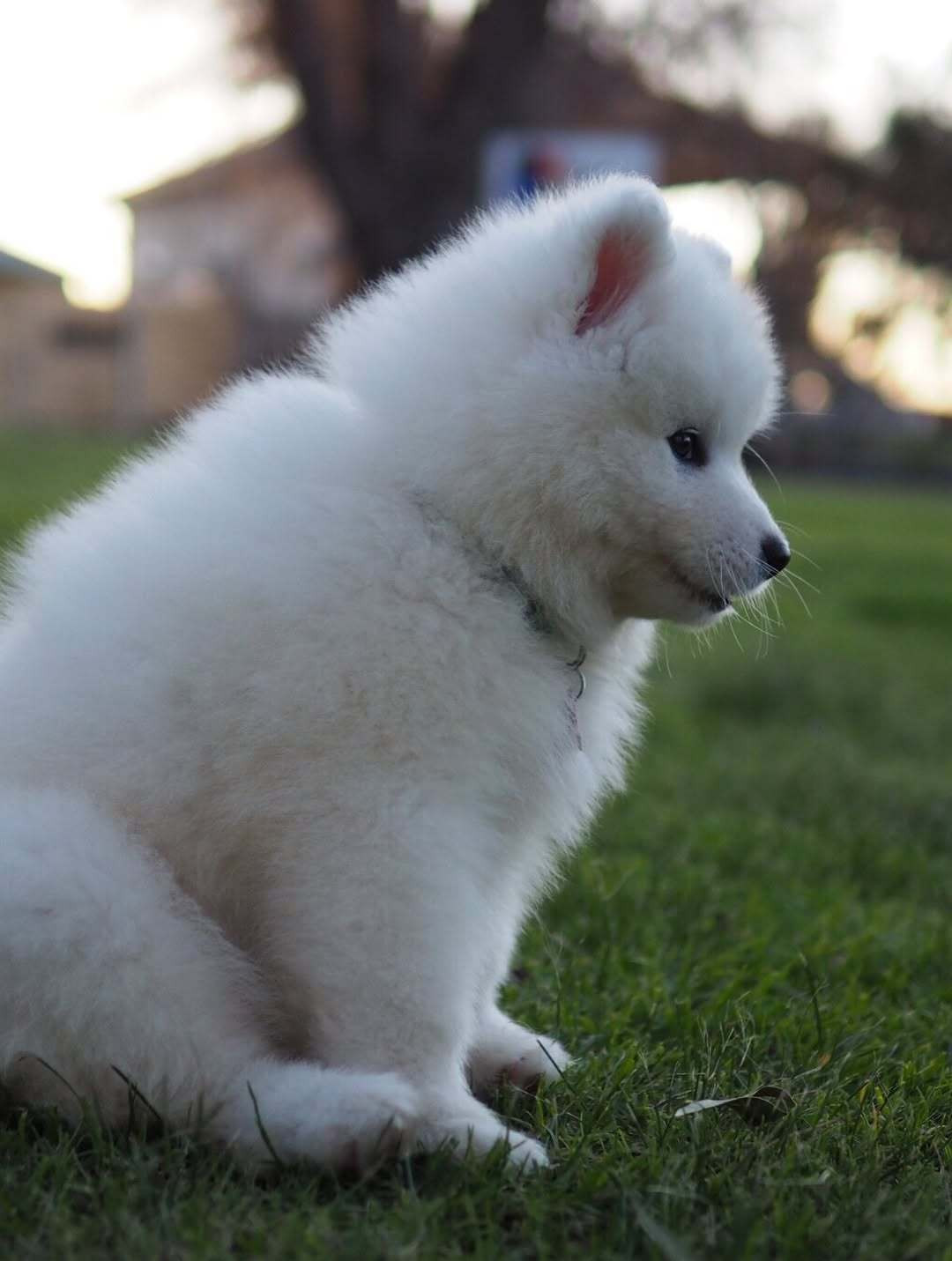 妈妈怎么还不来接我呢？