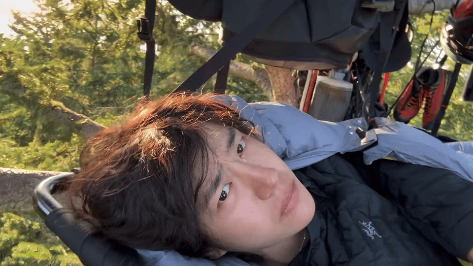 王一博在树上睡眠质量95老实说这么多年来我睡眠都没到过95，一般好的情况下也就8