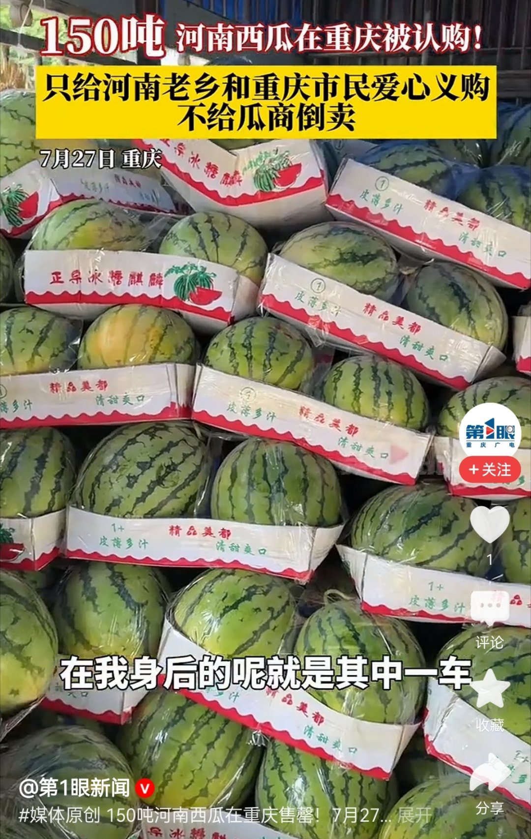 150吨河南西瓜在重庆被认购河南开封、周口等地西瓜集中上市却遇滞销，重庆多方发起
