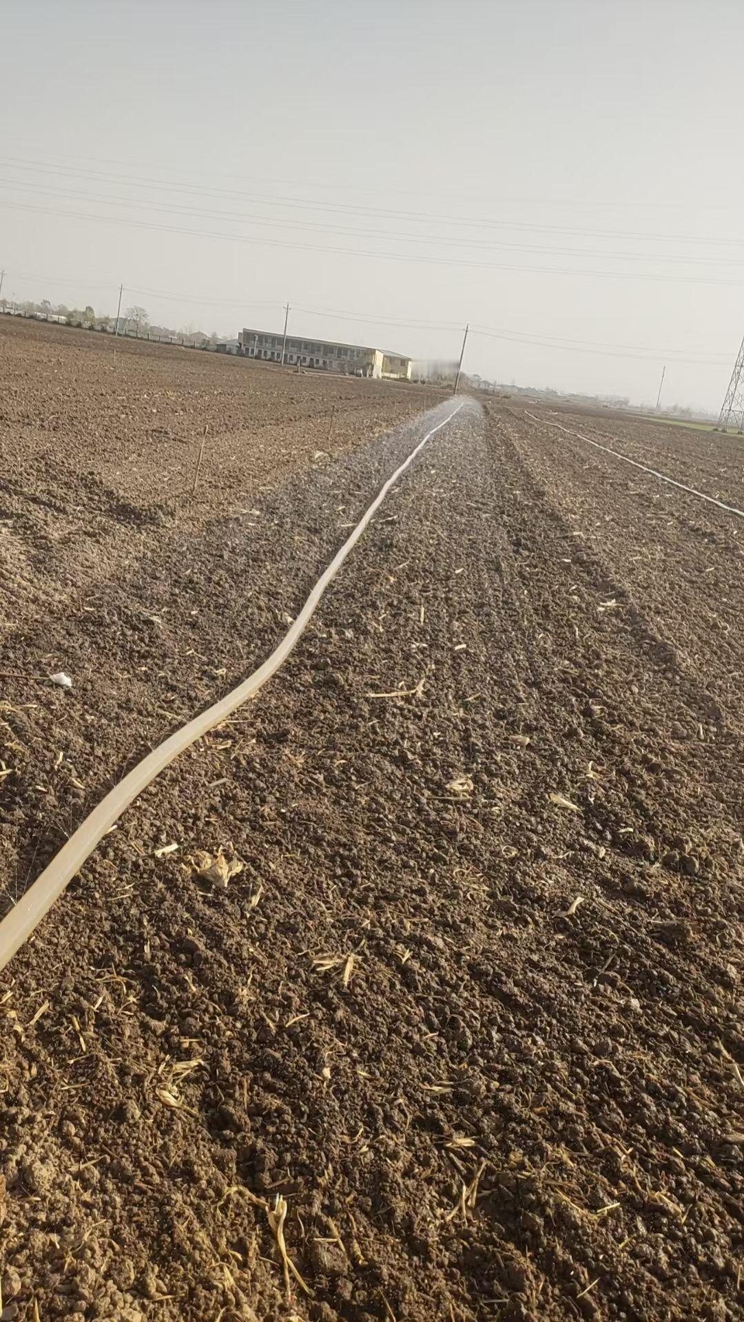 又得浇地！虽然是涝天，但是，还得浇地，是因为，这里的土质是於地，刚刚排涝
