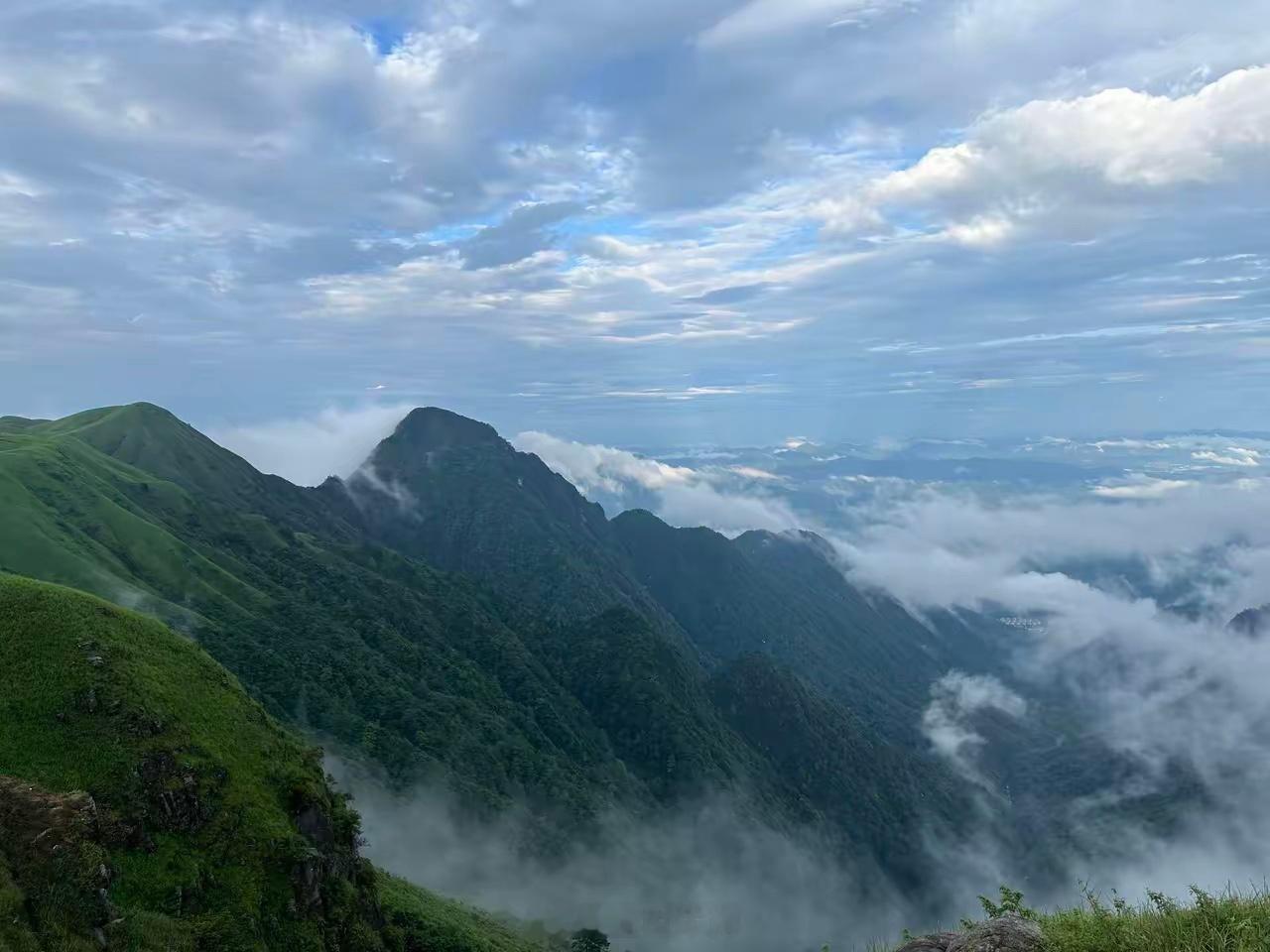 做交易和人生一样要有认错和纠错的能力虽然是有代价的虽然会不甘心及时止损免得越陷越