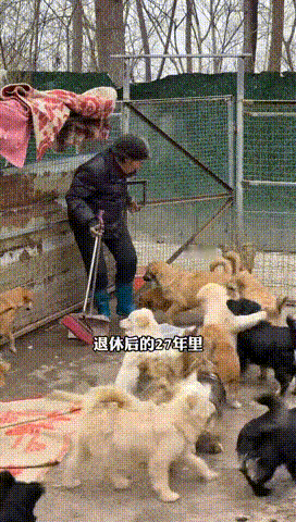 82岁退休语文老师的人生遗嘱82岁老师写高考作文引关注谁被奶奶的坚守打动了？8