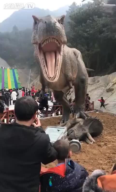 恐龙视频全集霸王龙大战棘龙 11350254847192054952.jpg?id=0