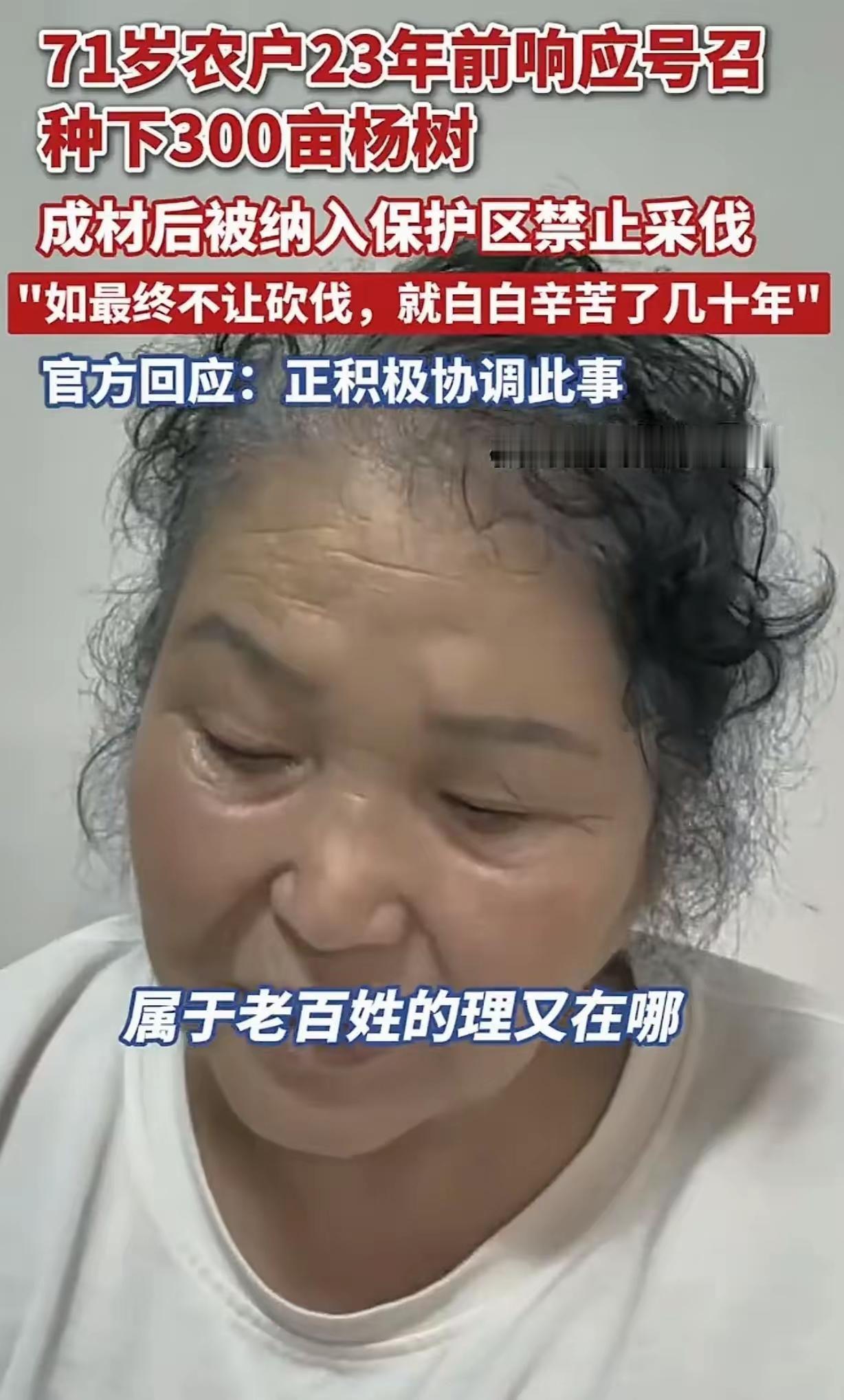 71岁的王桂菊大妈太让人心疼了！23年前响应号召承包360亩地，一锹一镐种下3万