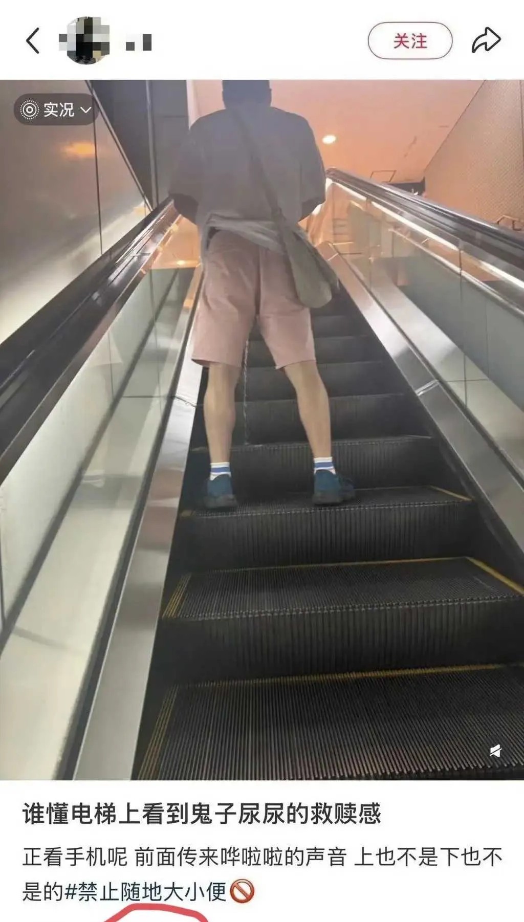 这素质没话说了