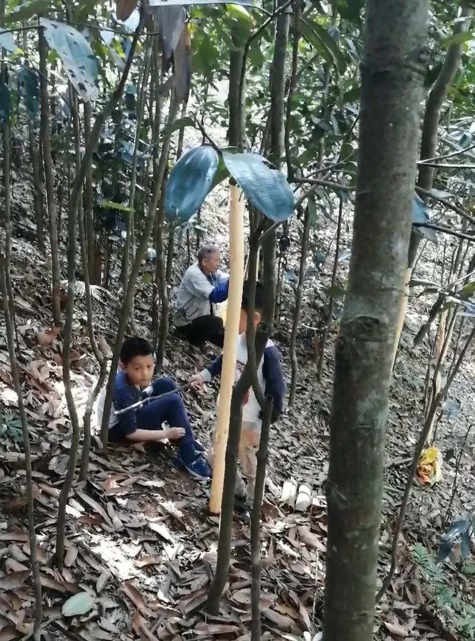 看到有一个人发的帖子，我都被他气笑了，他说，他60多岁的爸爸退休了，很有空，就经