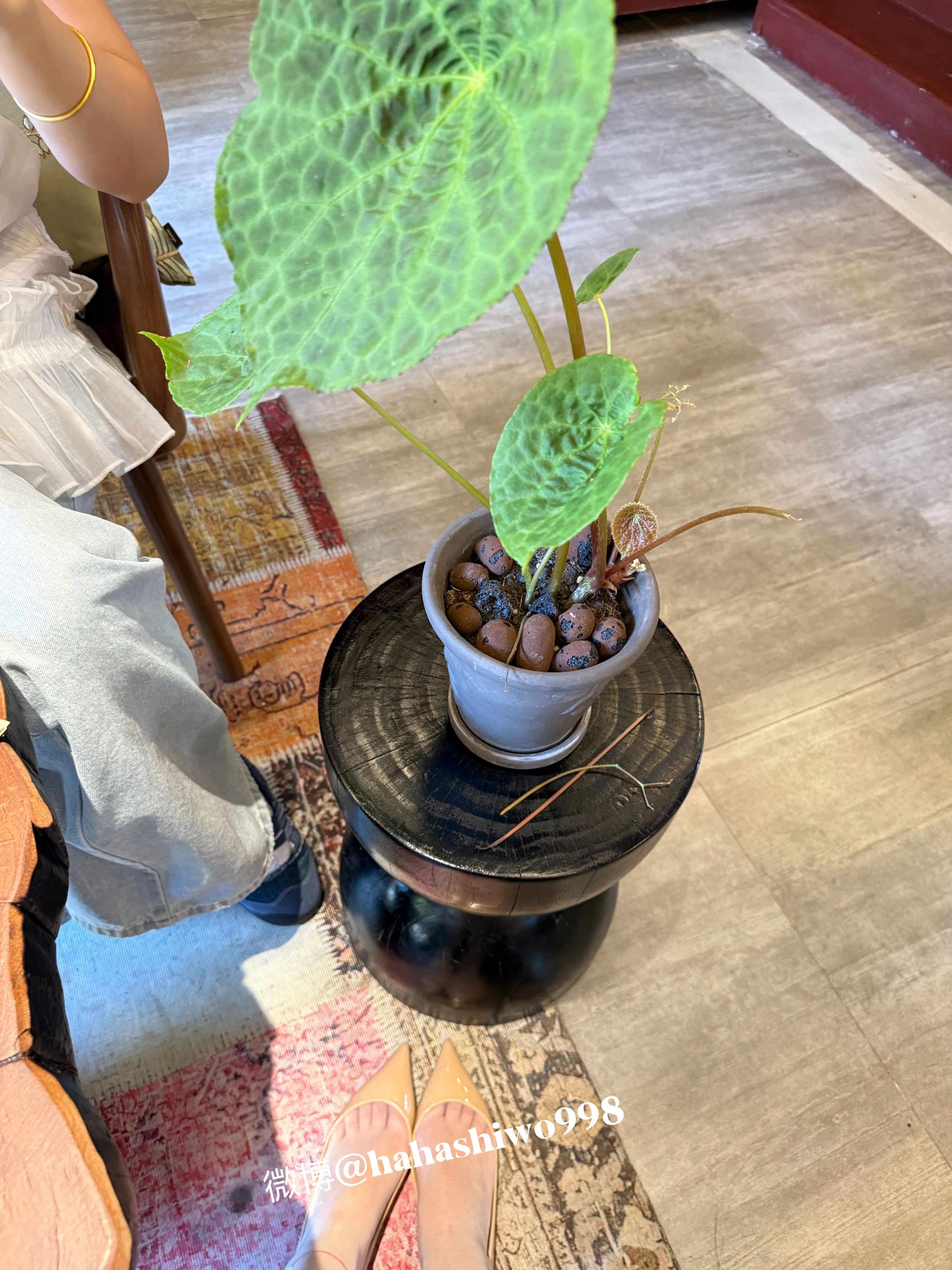 旗袍和茶室更搭🍵​​​