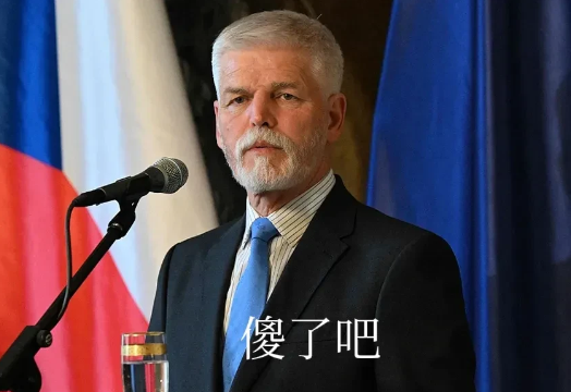 太硬气了！中国拿捷克总统开了第一刀彻底把他