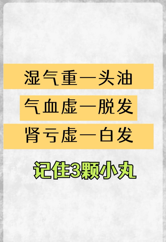 湿气重头油, 气血虚脱发, 肾亏虚白发, 记住3颗小药丸!