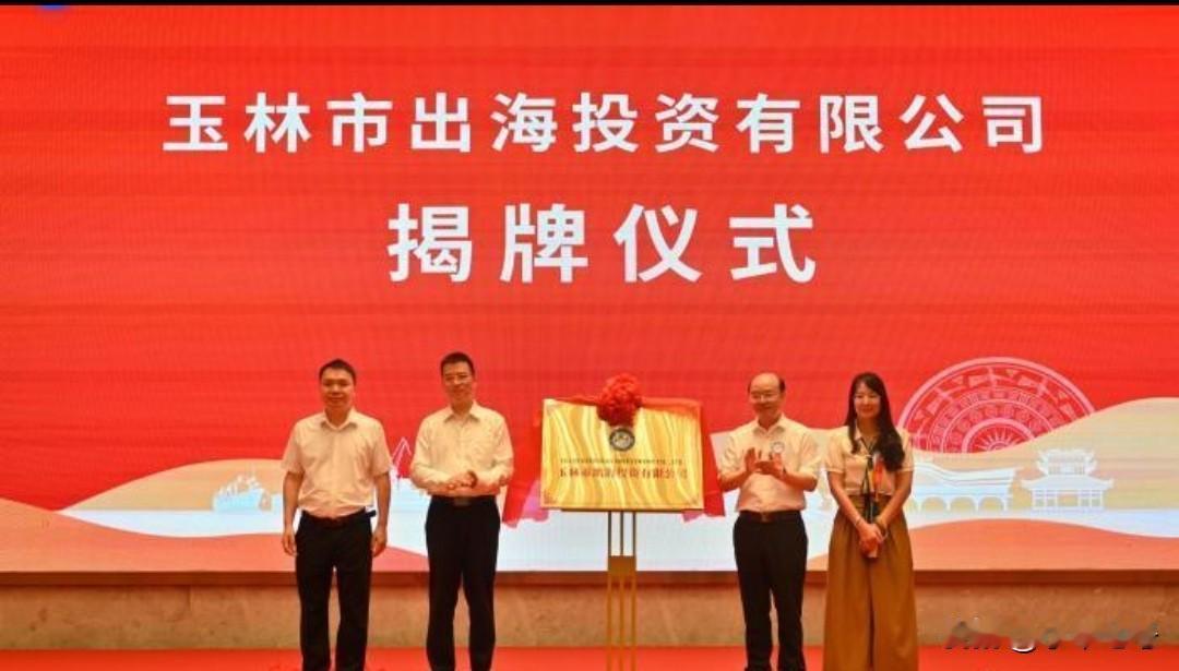 前两天200多名侨商聚集在玉林开了会，最重要一个成果是玉林市成了出海投资有限公司