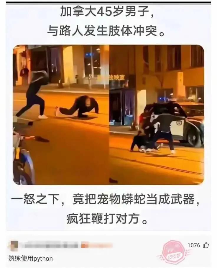 这蛇鞭好用么？不得不说大哥是有勇有谋啊