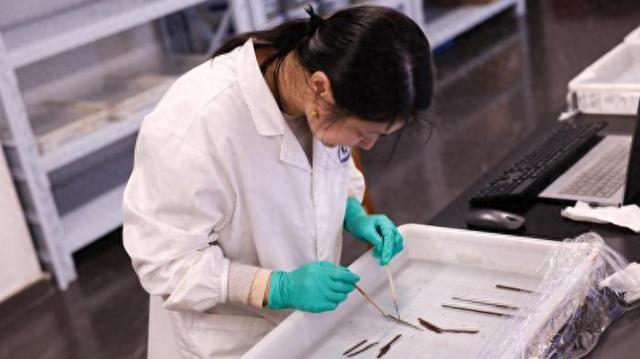 海昏侯墓考古发掘领队: 首次发现秦汉时期全本《诗经》