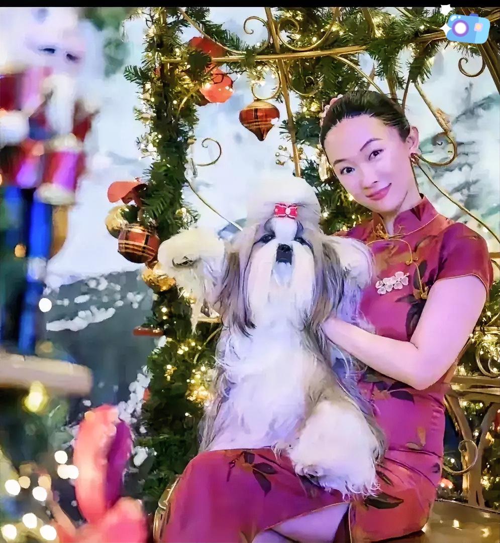 真就想不通霍思燕了，带着自家狗狗夺冠后，拿到奖金15万欧元还没捂热，怎