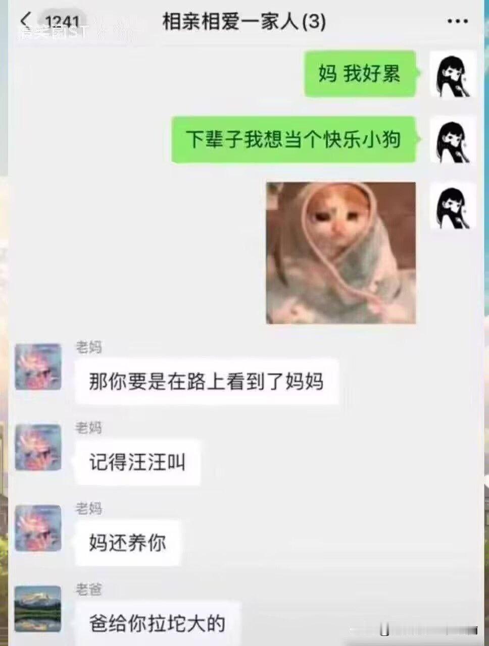 当狗都逃不过被全家宠成宝贝的命运