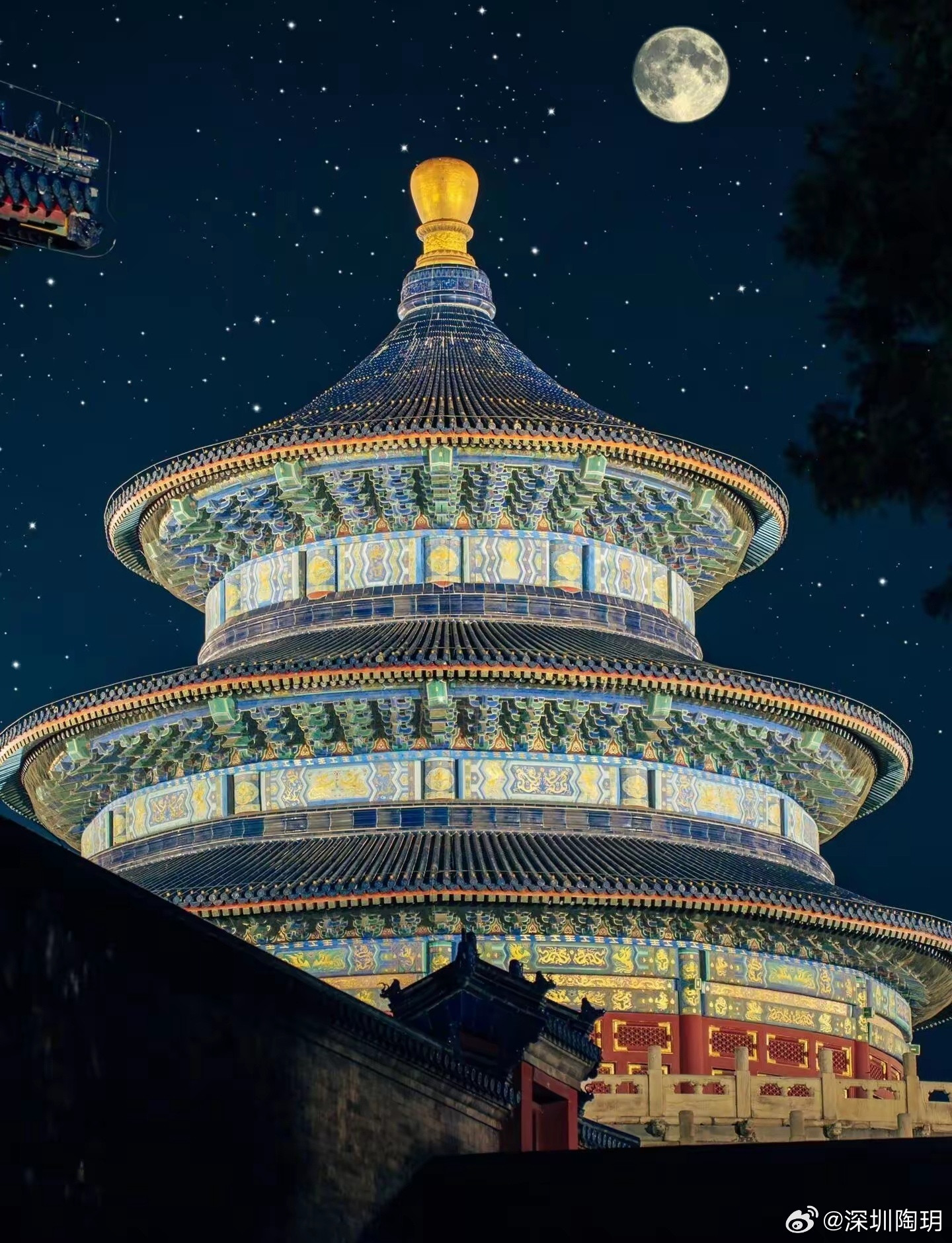 为老祖宗的审美着迷，为摄影师的审美着迷！[玫瑰]​​​