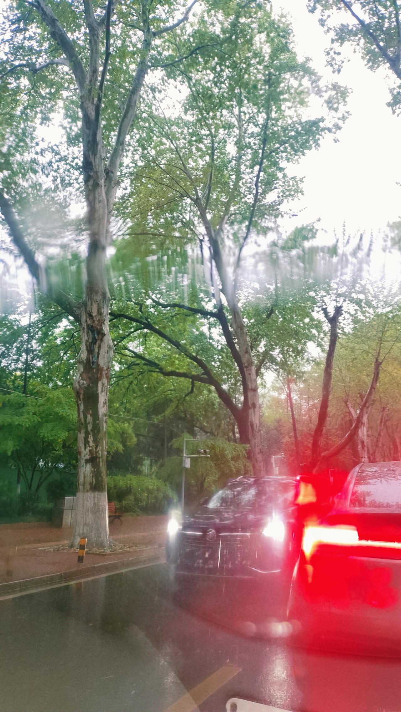 武汉春日的天气像孩子的脸说变就变昨天气温冲到30度，人们纷纷脱下厚外