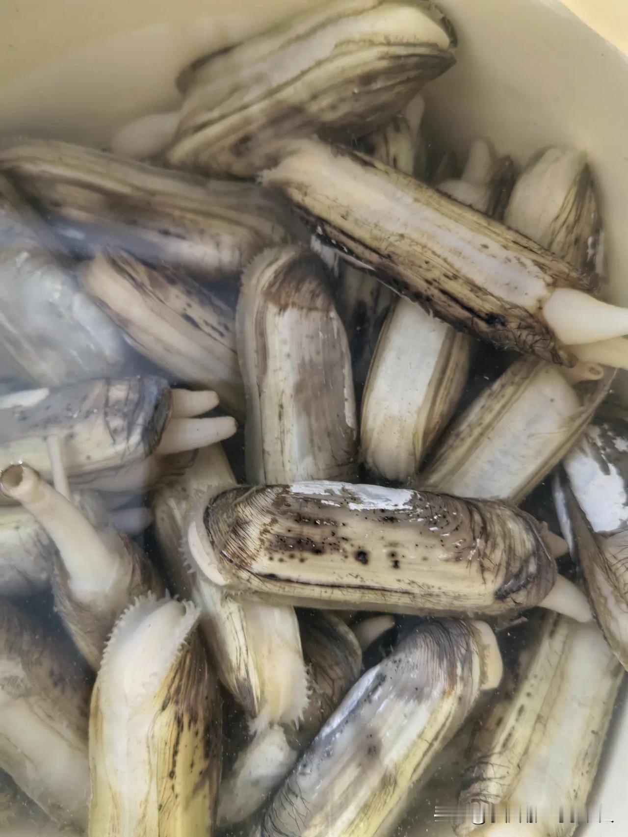 两荤两素一汤，简单凑合下吧！今天，4个人的晚饭（主餐），按排以小荤为主，二荤