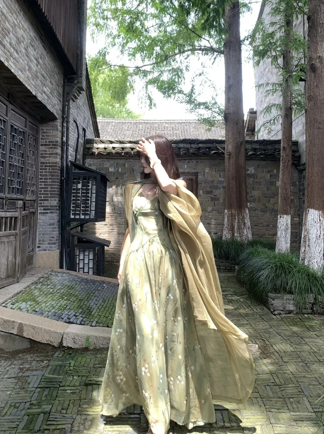 我本无意入江南