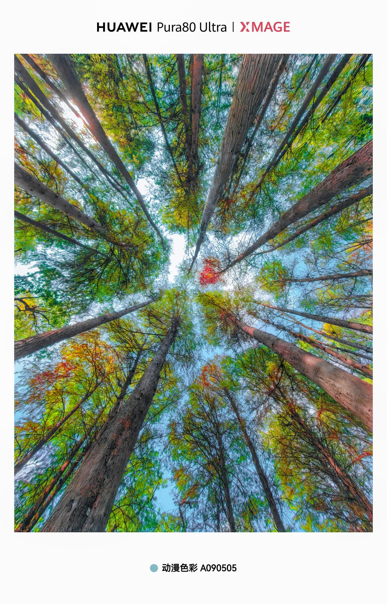 HUAWEIPura80ultraXMAGE影像，自然风光，城市建筑，人文纪