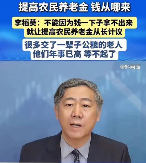 清华大学李稻葵：“不能因为钱一下子拿不出来，就让提高农民养老金从长计议，很多交了