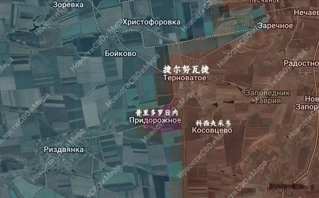 俄军东部集群占领了捷尔努瓦捷西南的普里多罗日内。从2024年至今，俄军东部集群