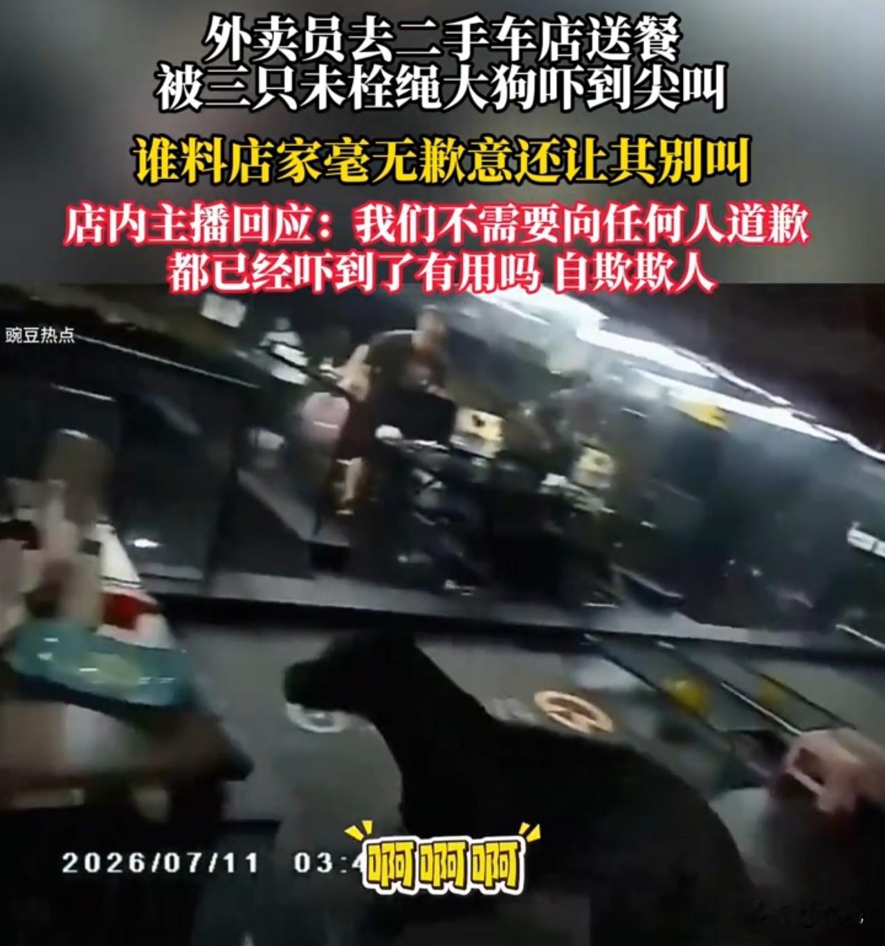 见过嚣张的，从没见过如此颠倒黑白的！不约束大狗在先，受惊他人后又拒不道歉、主