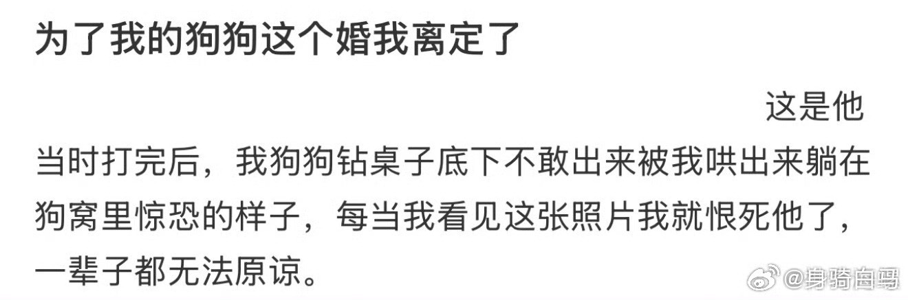 为了我的狗狗这个婚我离定了离婚不要迁怒于工作人员