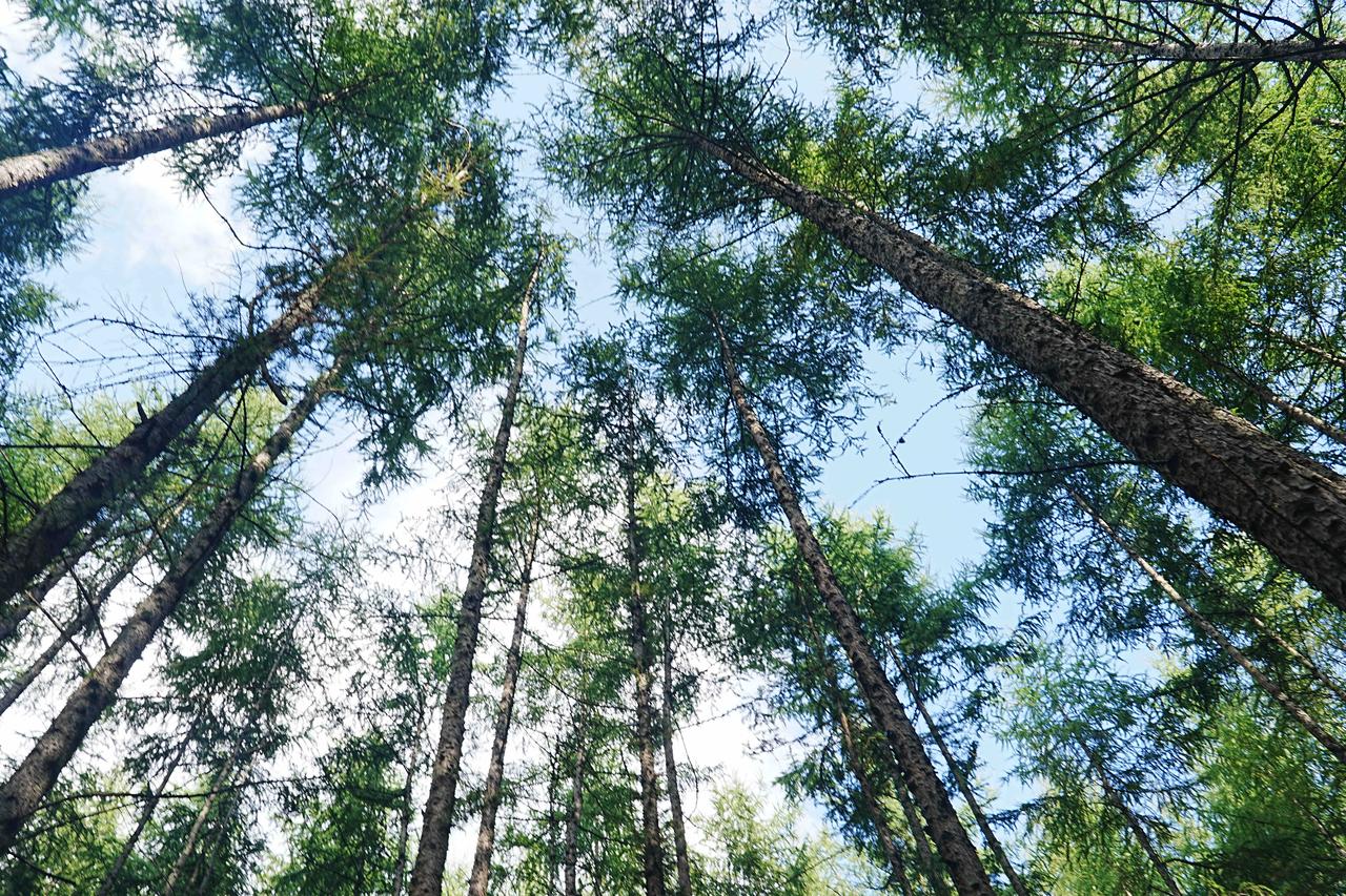 化繁为简，归真于心人生如行路，从懵懂初识到世事洞明，认知的轨迹始