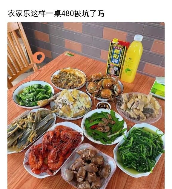 有人觉得农家乐一桌480元太贵，有人又觉得物有所值。这背后，真有那么复杂吗？