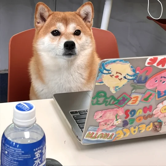 我是狗 我不同意人上班💻