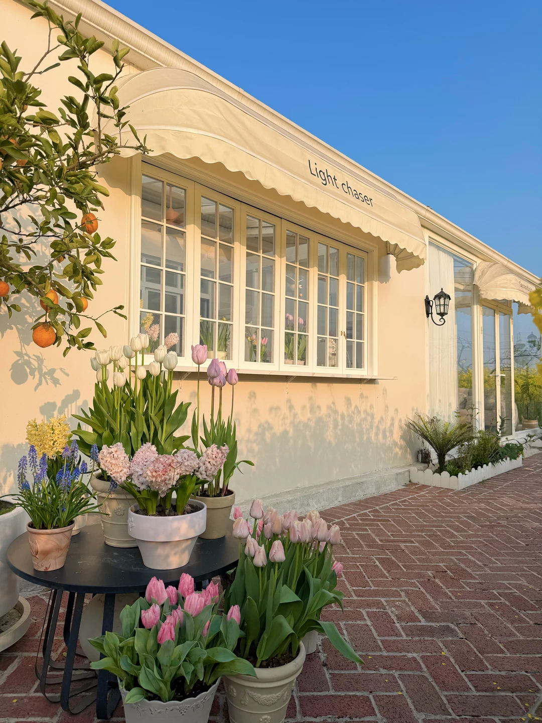 回村建房，最不后悔的就是改造了这个阳光房！